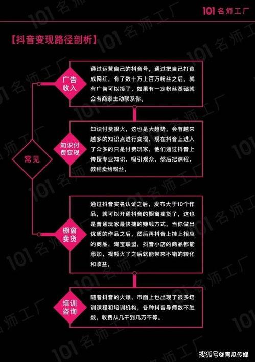 手册爆料视频,一窥行业内部真相  第2张